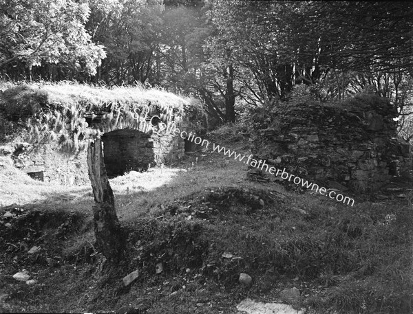 DUNBOY CASTLE SHOWING WALL & 